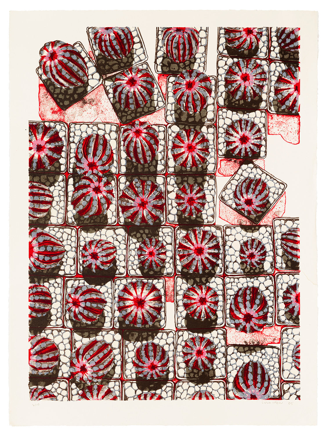 Lucy Culliton - Tucson Cactus Nursery