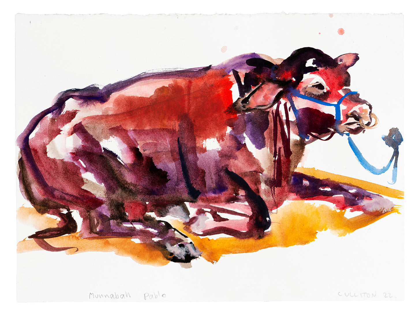 Lucy Culliton - Munnabah Pablo
