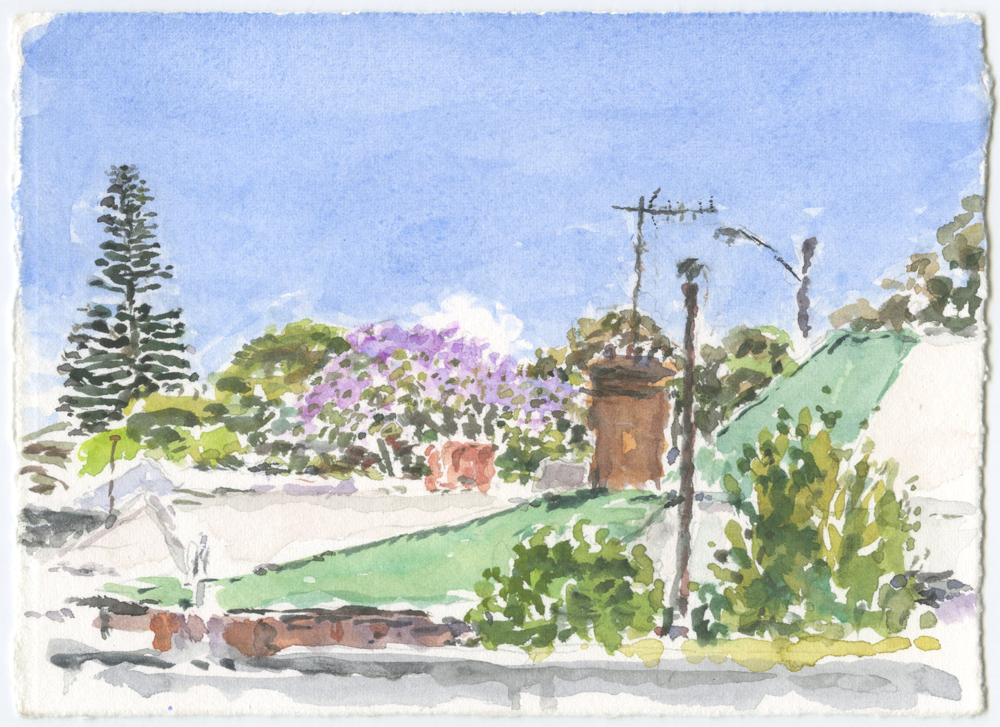 Tom Carment - Jacaranda, Enmore