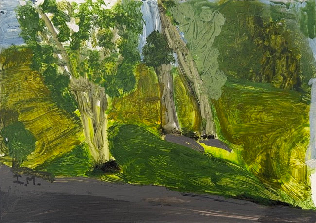 Idris Murphy - The Green Road to the Sea