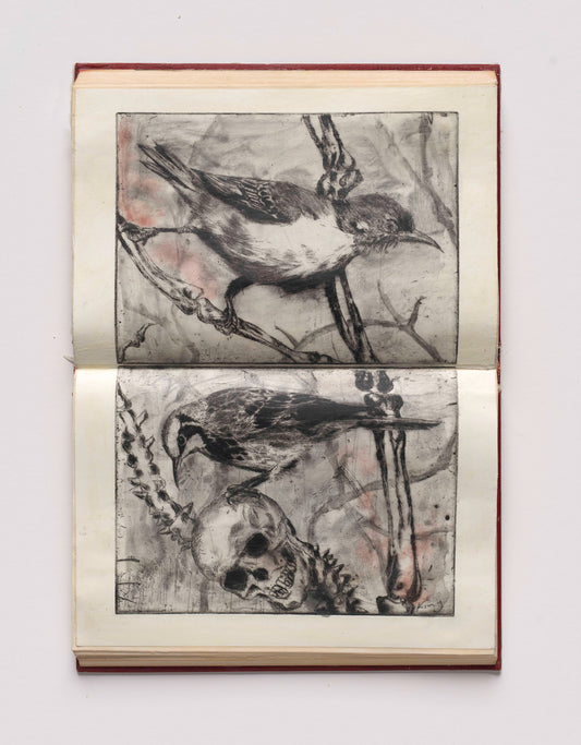 Martin King - strangerlands diary no.5