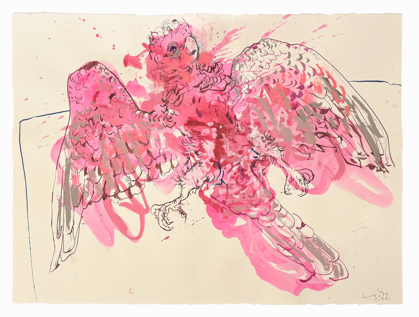 Luke Sciberras - Untitled [Galah I]