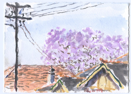 Tom Carment - Jacaranda, Dickinson Street, Croydon