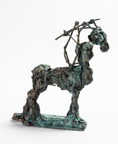 Harrie Fasher - I am horse/centauride