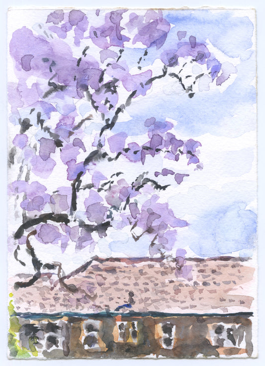 Tom Carment - Jacaranda, Redleaf