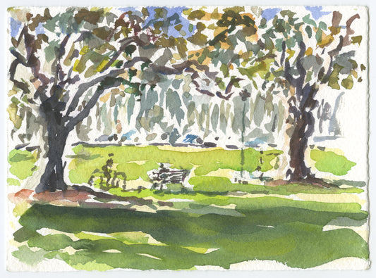 Tom Carment - Rushcutters Bay Park, Anzac Day