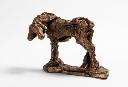 Harrie Fasher - She turned and gazed at me