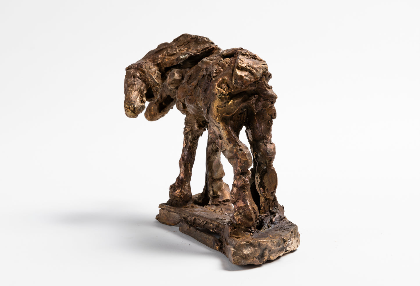 Harrie Fasher - She turned and gazed at me