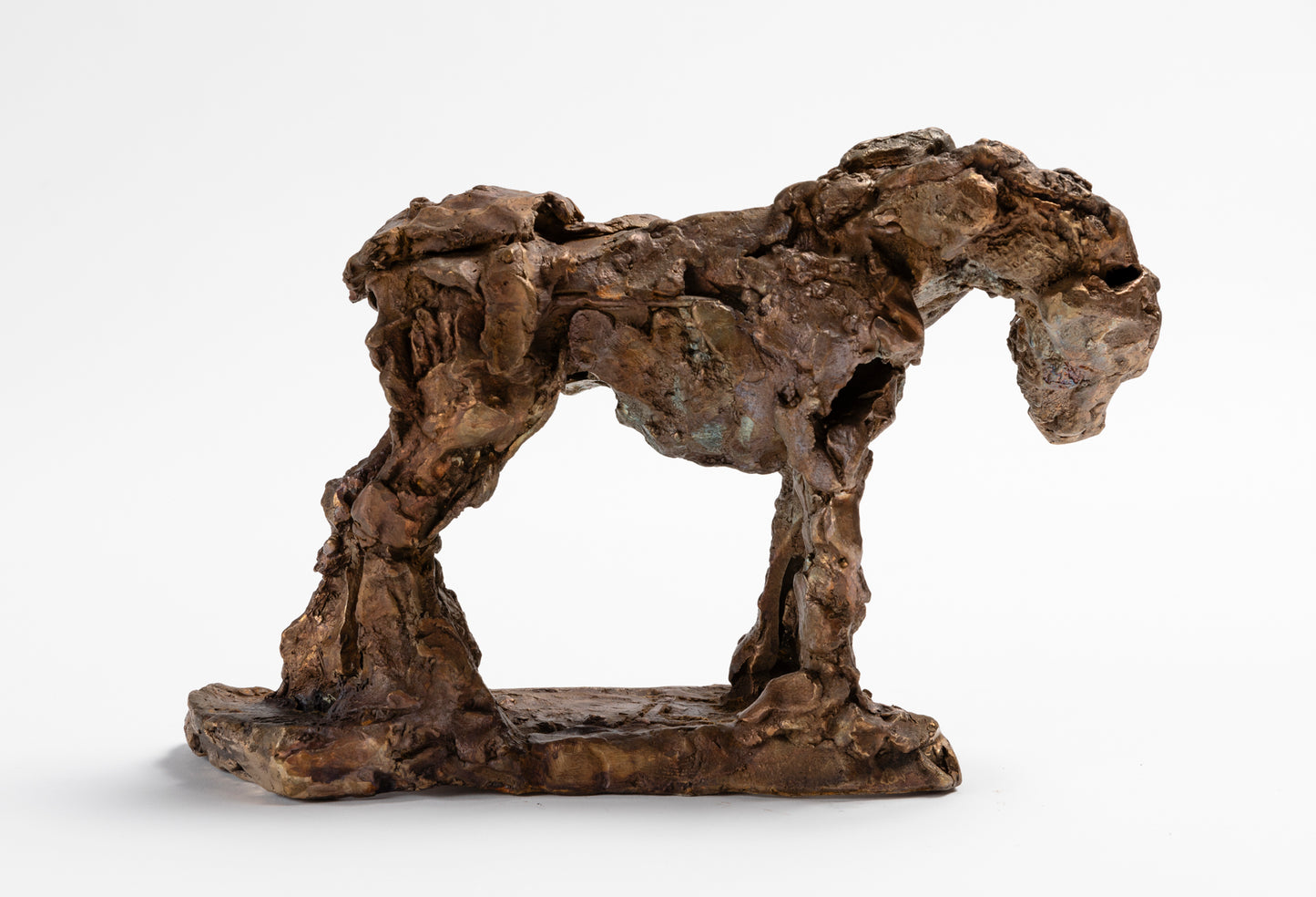 Harrie Fasher - She turned and gazed at me