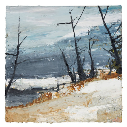 Amanda Penrose Hart - Winter