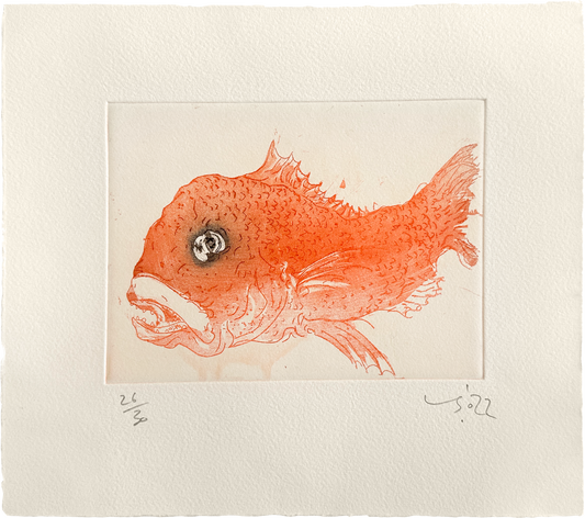 Luke Sciberras - Snapper